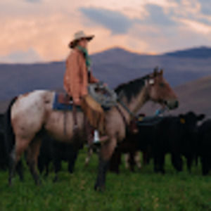 Meet your Posher, Maddy